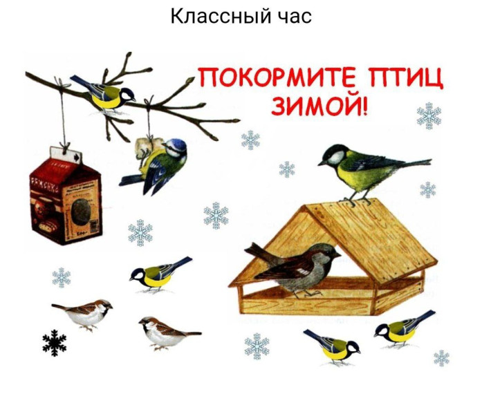 Классный час "Покормите птиц зимой".